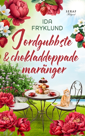 Jordgubbste och chokladdoppade maränger (e-bok)