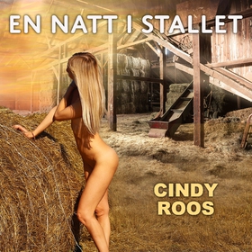 En natt i stallet (ljudbok) av Cindy Roos