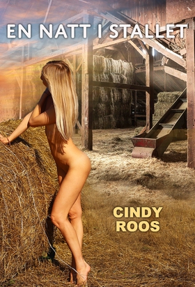 En natt i stallet (e-bok) av Cindy Roos