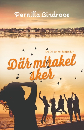 Da¨r mirakel sker (e-bok) av Pernilla Lindroos