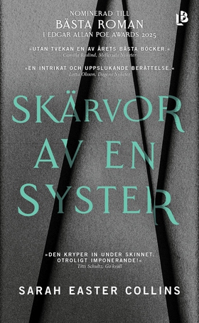 Skärvor av en syster (e-bok) av Sarah Easter Co