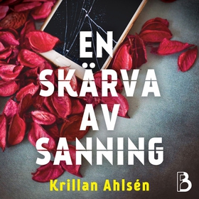 En skärva av sanning (ljudbok) av Krillan Ahlsé