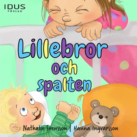 Lillebror och spalten (ljudbok) av Nathalie Sve