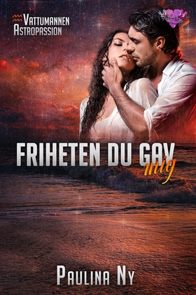 Friheten du gav mig (e-bok) av Paulina Ny