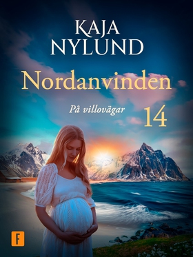 På villovägar (e-bok) av Kaja Nylund