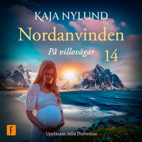 På villovägar (ljudbok) av Kaja Nylund