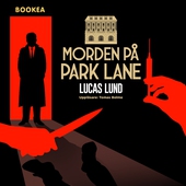 Morden på Park Lane