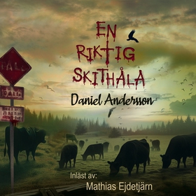 En riktig skithåla (ljudbok) av Daniel Andersso