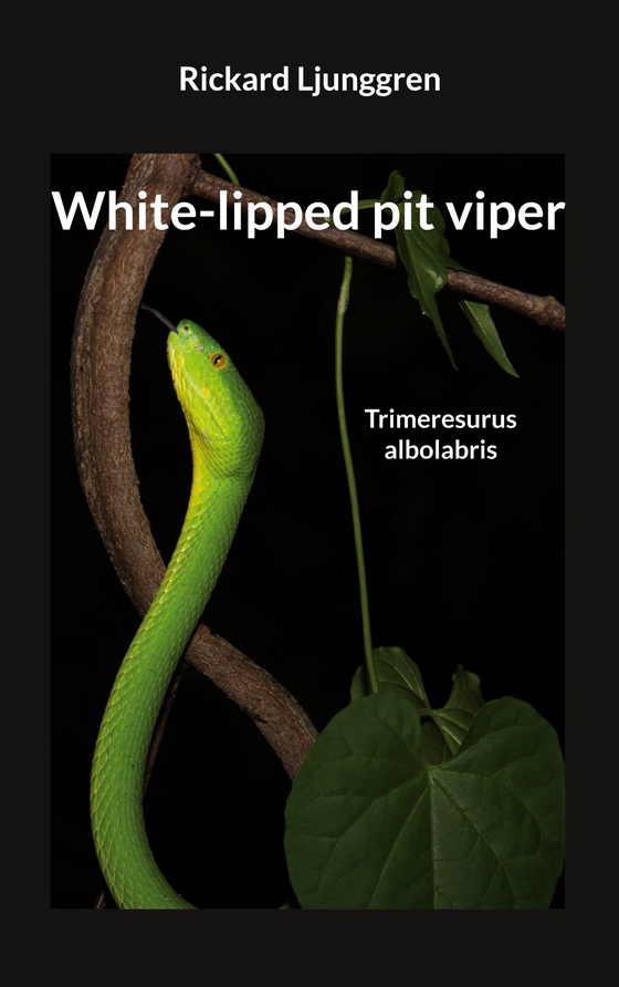 White-lipped pit viper: Trimeresurus albolabris