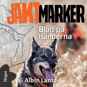 Blod på händerna (ljudbok) av Albin Lantz