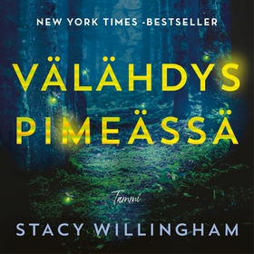 Välähdys pimeässä (ljudbok) av Stacy Willingham