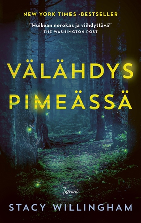 Välähdys pimeässä (e-bok) av Stacy Willingham