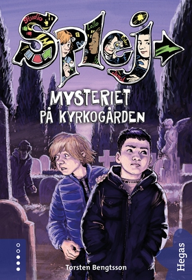 Mysteriet på kyrkogården (e-bok) av Torsten Ben