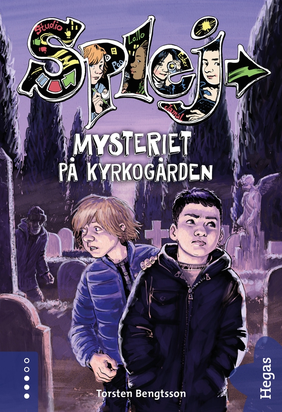 Mysteriet på kyrkogården (e-bok) av Torsten Bengtsson