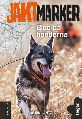 Blod på händerna (e-bok) av Albin Lantz