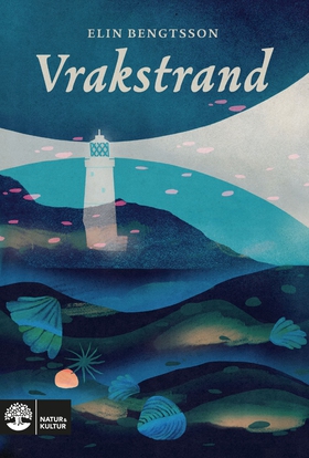 Vrakstrand (e-bok) av Elin Bengtsson