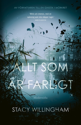 Allt som är farligt (e-bok) av Stacy Willingham