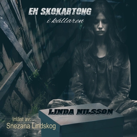 En skokartong i källaren (ljudbok) av Linda Nil