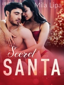 Secret Santa – erotisk novell