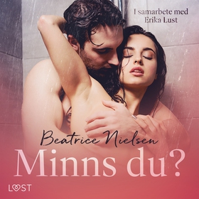 Minns du? - erotisk novell (ljudbok) av Beatric