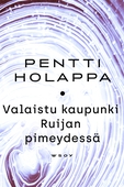 Valaistu kaupunki Ruijan pimeydessä