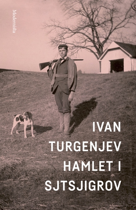 Hamlet i Stjsjigrov (e-bok) av Ivan Turgenjev