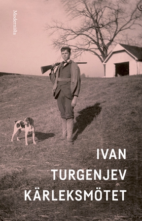 Kärleksmötet (e-bok) av Ivan Turgenjev