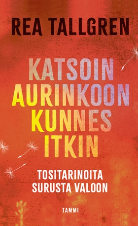 Katsoin aurinkoon kunnes itkin (e-bok) av Rea T