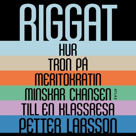 Riggat : Hur tron på meritokratin minskar chans