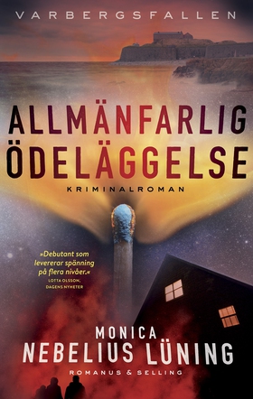 Allmänfarlig ödeläggelse (e-bok) av Monica Nebe