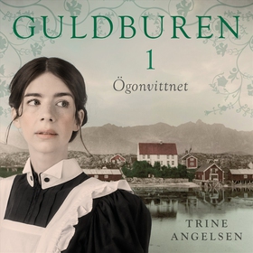 Ögonvittnet (ljudbok) av Trine Angelsen