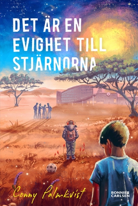 Det är en evighet till stjärnorna (e-bok) av Co