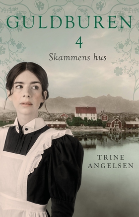 Skammens hus (e-bok) av Trine Angelsen