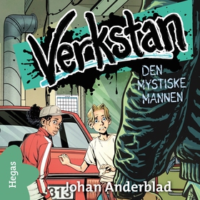 Den mystiske mannen (ljudbok) av Johan Anderbla