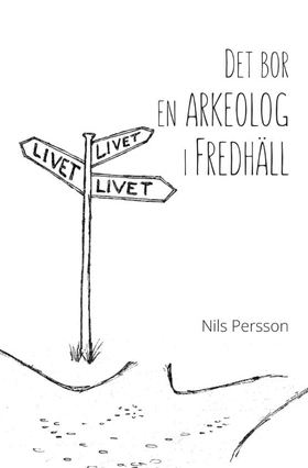 Det bor en arkeolog i Fredhäll (e-bok) av Nils