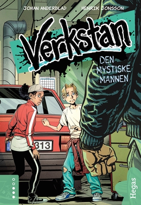 Den mystiske mannen (e-bok) av Johan Anderblad