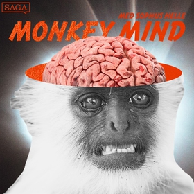 Monkey Mind (ljudbok) av Sophus Helle