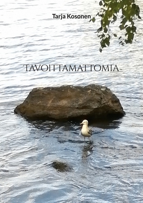Tavoittamattomia (e-bok) av Tarja Kosonen