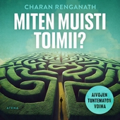 Miten muisti toimii