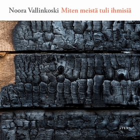 Miten meistä tuli ihmisiä (e-bok) av Noora Vall