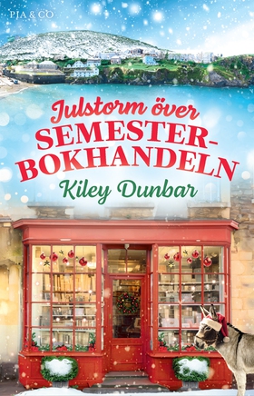 Julstorm över Semesterbokhandeln (e-bok) av Kil