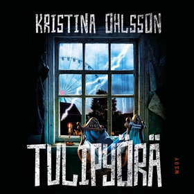 Tulipyörä (ljudbok) av Kristina Ohlsson