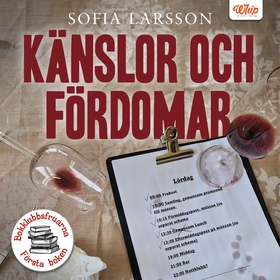 Känslor och fördomar (ljudbok) av Sofia Larsson