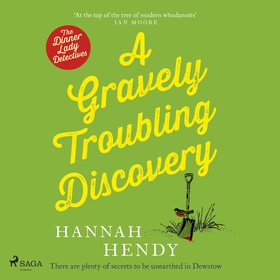 A Gravely Troubling Discovery (ljudbok) av Hann