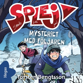 Mysteriet med följaren (ljudbok) av Torsten Ben