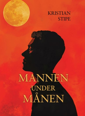 Mannen under Månen (e-bok) av Kristian Stipe