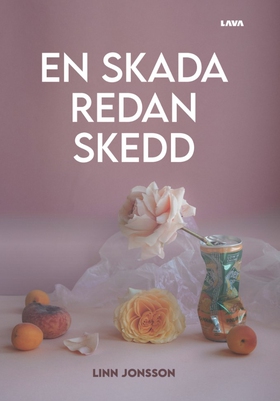 En skada redan skedd (e-bok) av Linn Jonsson