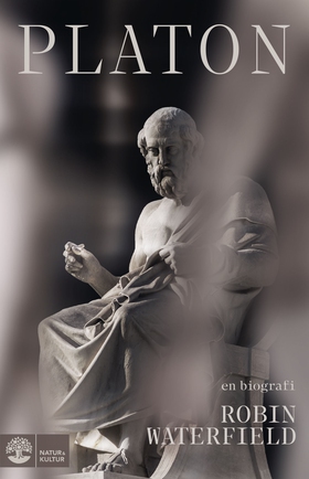 Platon : En biografi (e-bok) av Robin Waterfiel