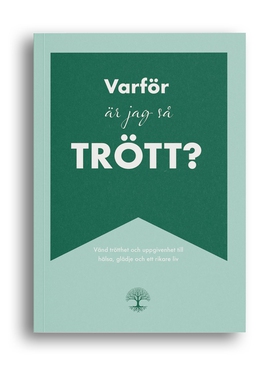 Varför är jag så trött? (e-bok) av Liz Wirdeniu