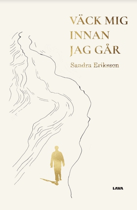 Väck mig innan jag går (e-bok) av Sandra Erikss
